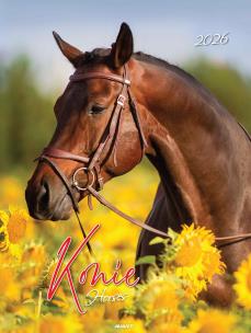 Opakowanie Kalendarz 2026 ścienny Konie