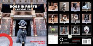 Opakowanie Kalendarz 2026 ścienny kwadrat Psy w kryzach