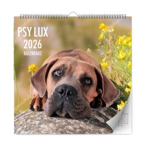 Opakowanie Kalendarz 2026 ścienny lux psy