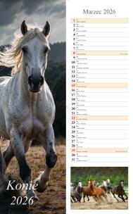 Kalendarz 2026 ścienny pasek Konie. Wydawca: Radwan. Multiszop.pl Opakowanie Kalendarz 2026 ścienny pasek Konie