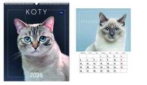 Opakowanie Kalendarz 2026 ścienny planszowy 33,5x40cm Koty