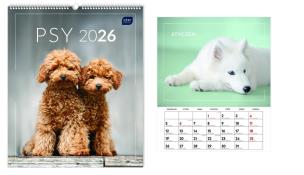 Opakowanie Kalendarz 2026 ścienny planszowy 33,5x40cm Psy