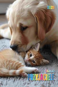 Opakowanie Kalendarz 2026 ścienny Przyjaciele