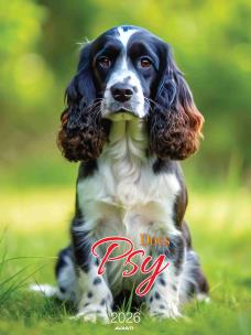 Opakowanie Kalendarz 2026 ścienny Psy