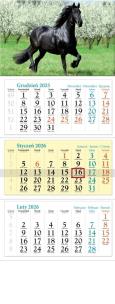 Opakowanie Kalendarz 2026 ścienny trójdzielny Koń