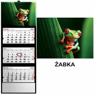 Kalendarz 2026 trójdzielny żaba. Wydawca: Evena. Multiszop.pl Opakowanie Kalendarz 2026 trójdzielny żaba