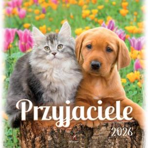 Opakowanie Kalendarz 2026 wieloplanszowy 33x33cm Przyjaciele