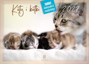Opakowanie Kalendarz 2027 rodzinny Koty i kotki