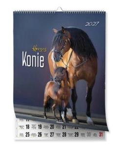 Opakowanie Kalendarz 2027 ścienny 23x30,5cm Konie