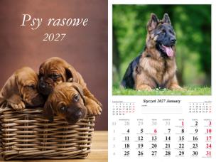 Opakowanie Kalendarz 2027 ścienny 7-k Psy rasowe