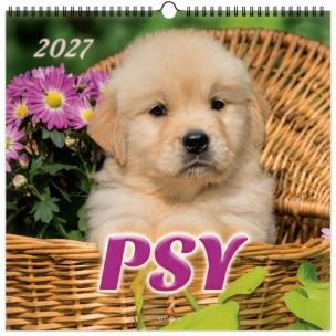 Opakowanie Kalendarz 2027 wieloplanszowy 33x33cm Psy