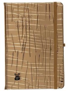 Opakowanie Kalendarz pedagoga 2025/26 A5 tyg. Salsa złoty