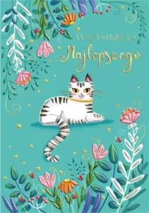 Opakowanie Karnet A5 Biały kot