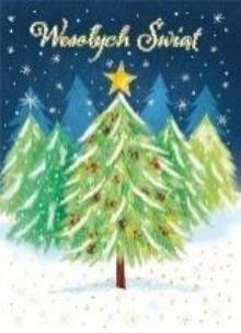 Opakowanie Karnet B6 Boże Narodzenie - Choinka w lesie