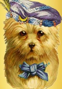 Karnet B6 brokat z kopertą Piesek wróżka. Wydawca: Madame Treacle. Multiszop.pl Opakowanie Karnet B6 brokat z kopertą Piesek wróżka