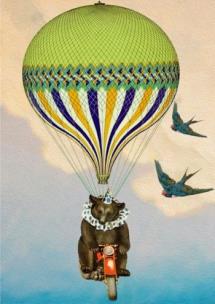 Karnet B6 z kopertą Cyrkowy miś. Wydawca: Madame Treacle. Multiszop.pl Opakowanie Karnet B6 z kopertą Cyrkowy miś