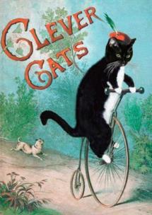 Karnet B6 z kopertą Mądre koty. Wydawca: Madame Treacle. Multiszop.pl Opakowanie Karnet B6 z kopertą Mądre koty