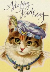 Karnet B6 z kopertą Urodziny Kotka wróżka. Wydawca: Madame Treacle. Multiszop.pl Opakowanie Karnet B6 z kopertą Urodziny Kotka wróżka