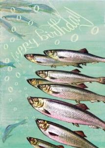 Karnet B6 z kopertą Urodziny Rybi chór. Wydawca: Madame Treacle. Multiszop.pl Opakowanie Karnet B6 z kopertą Urodziny Rybi chór