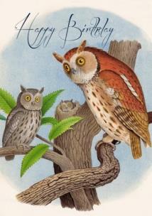 Karnet B6 z kopertą Urodziny Sowy. Wydawca: Madame Treacle. Multiszop.pl Opakowanie Karnet B6 z kopertą Urodziny Sowy