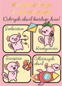 Opakowanie Karnet B8 mini Aksoloty z insta