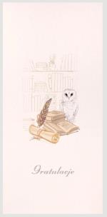Opakowanie Karnet Gratulacje DL AB01 - Sowa