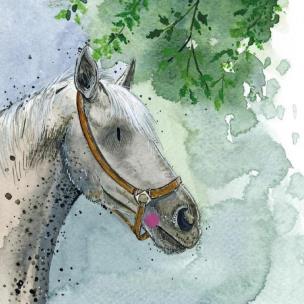 Opakowanie Karnet Koń pod drzewem