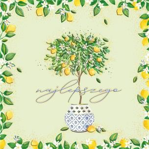 Opakowanie Karnet KW Drzewko cytrynowe