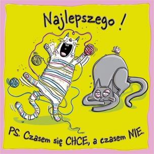 Opakowanie Karnet KW Kotki i psotki