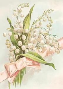 Opakowanie Karnet ST535 B6 + koperta Konwalie