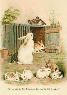 Opakowanie Karnet ST539 B6 + koperta Wielkanoc Króliki