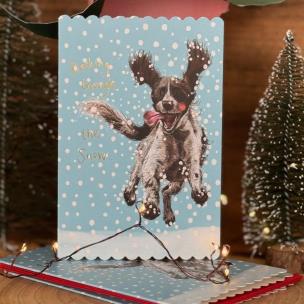 Opakowanie Karnet Święta Spaniel w śniegu