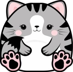 Opakowanie Karnet Uniwersalny - Chonky Cat