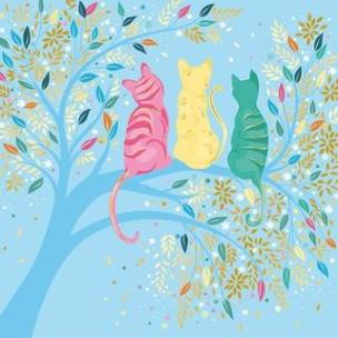 Opakowanie Karnet Uniwersalny - Classy Cats
