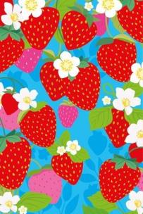 Opakowanie Karnet Uniwersalny - Red Strawberries