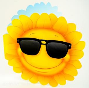 Opakowanie Karnet Uniwersalny - Sunflower