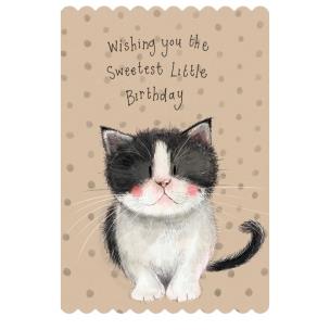 Opakowanie Karnet Urodziny Kotek