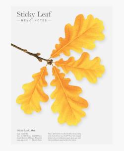 Opakowanie Karteczki samoprzylepne Dąb żółty L