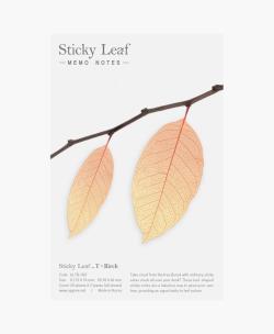 Opakowanie Karteczki samoprzylepne T Brzoza orange M