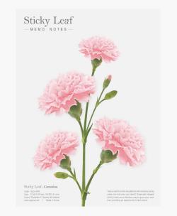 Opakowanie Kartki samoprzylepne Goździk różowy L