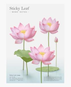 Opakowanie Kartki samoprzylepne Lotos różowy L