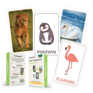 Karty obrazkowe - zwierzęta. Wydawca: LearnHow. Multiszop.pl Opakowanie Karty obrazkowe - zwierzęta