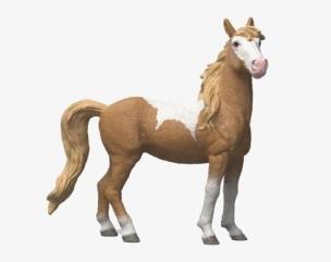 Opakowanie Klacz Mustang