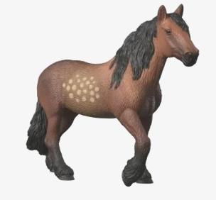 Opakowanie Klacz rasy North Swedish Zimnokrwista