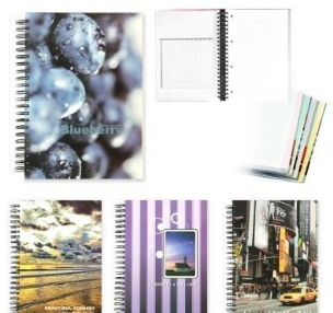 Opakowanie Kołobrulion A4/160K 65g kratka MIX