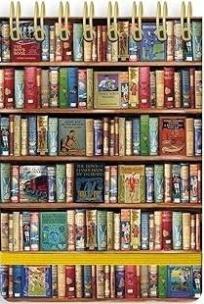 Opakowanie Kołonotatnik linia Książki srebrne