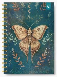 Kołonotatnik ozdobny B5/160K kratka. Wydawca: Cozywood. Multiszop.pl Opakowanie Kołonotatnik ozdobny B5/160K kratka