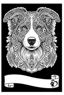 Opakowanie Kolorowanka Welwetowa A4 Border Collie