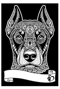 Opakowanie Kolorowanka welwetowa A4 Doberman