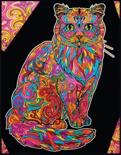 Opakowanie Kolorowanka welwetowa A4 Kot Długowłosy